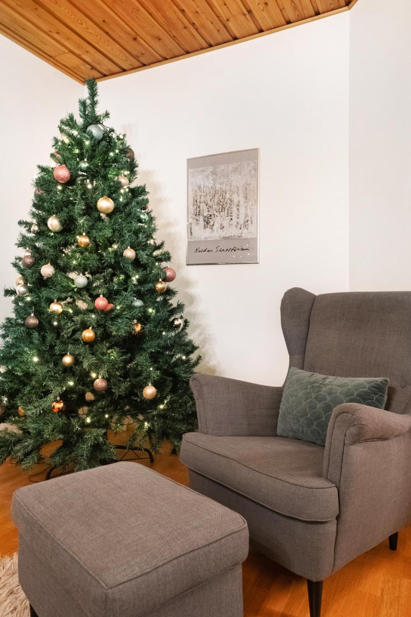 Villa Kataja Rovaniemi Dış mekan fotoğraf